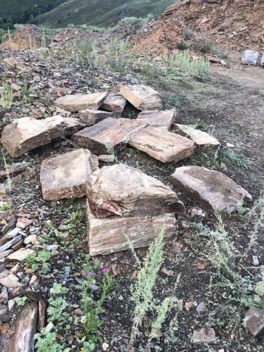 Плитняк кора дерева 50-100мм для пошаговых дорожек купить в Магаданской области